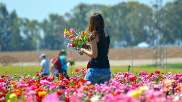 Літо ще покаже свій характер: яка погода чекає на українців в останні дні липня і на початку серпня Літо ще покаже свій характер: яка погода чекає на українців в останні дні липня і на початку серпня