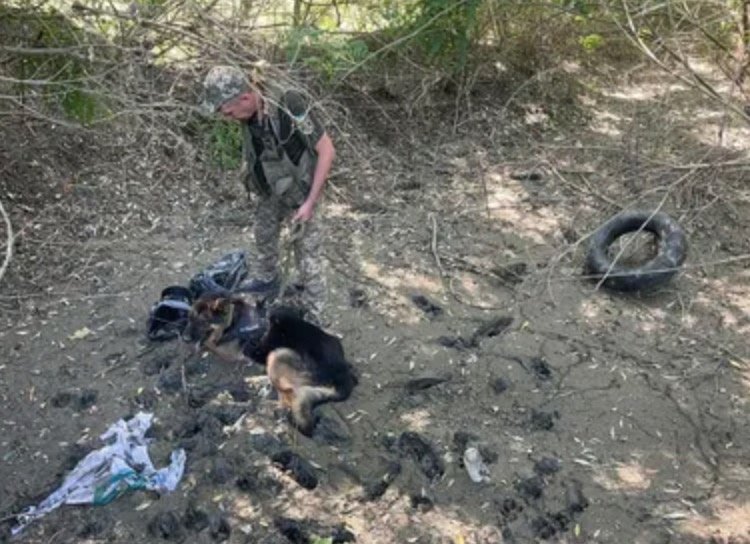 Мешканець Київщини хотів потрапити до Румунії, перепливши Дунай на автомобільній шині. Фото Мешканець Київщини хотів потрапити до Румунії, перепливши Дунай на автомобільній шині. Фото