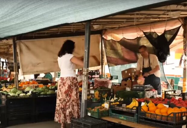 Ціна на популярний овоч рекордно подешевшала: вже коштує до 16 гривень за кілограм Ціна на популярний овоч рекордно подешевшала: вже коштує до 16 гривень за кілограм