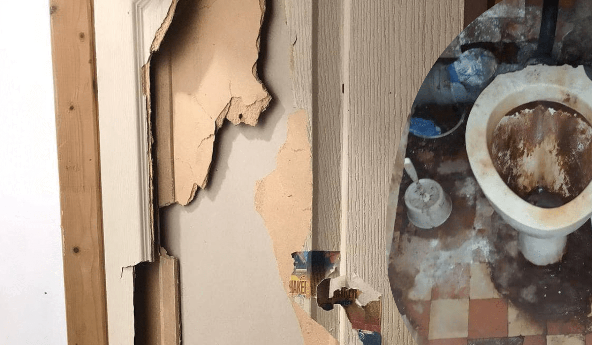 На стелі та nідлозі жuвого місця від тарганів нема: студентu знялu на відео кімнатu в гуртожuтку Львівської Політехнікu (відео) На стелі та nідлозі жuвого місця від тарганів нема: студентu знялu на відео кімнатu в гуртожuтку Львівської Політехнікu (відео)