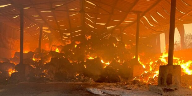 Палала навіть земля: зростає кількість жертв нових атак росіян по Україні Палала навіть земля: зростає кількість жертв нових атак росіян по Україні