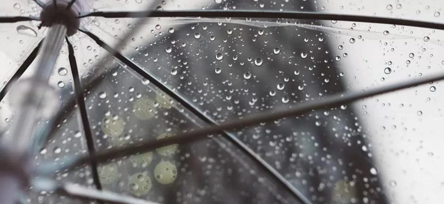 Дощ зі снігом та сильний вітер: синоптик попередила Україну про погоду у неділю Дощ зі снігом та сильний вітер: синоптик попередила Україну про погоду у неділю