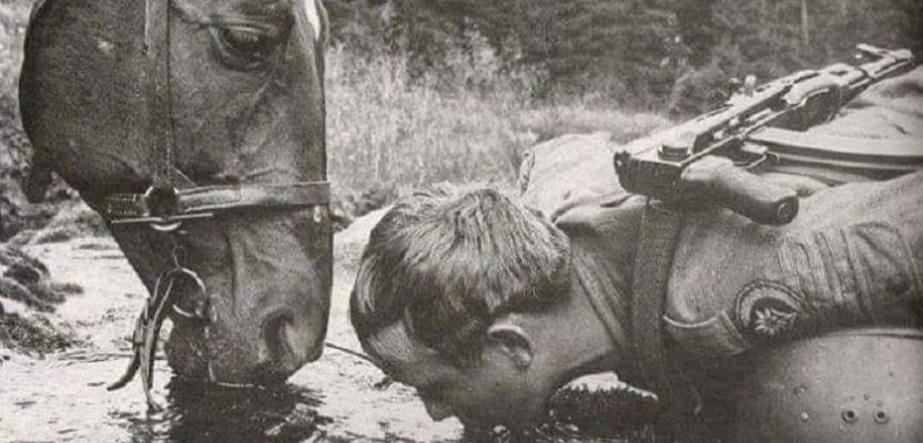 Пий там, де кінь п’є. Кінь поганої води не питиме ніколи. Стели ліжко там, де… Пий там, де кінь п’є. Кінь поганої води не питиме ніколи. Стели ліжко там, де…