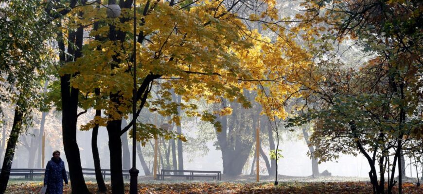 Осінь вжарить на повну: синоптики попередили про буйну погоду в неділю Осінь вжарить на повну: синоптики попередили про буйну погоду в неділю