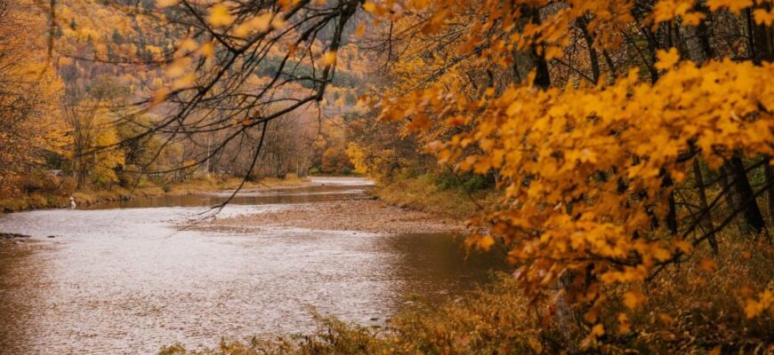 Як довго заморозки протримаються в Україні: синоптик розповіла, коли потеплішає Як довго заморозки протримаються в Україні: синоптик розповіла, коли потеплішає