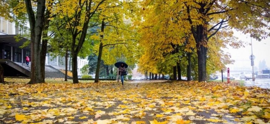 Чи буде у п’ятницю сильне похолодання та морози: погода на завтра вже відома Чи буде у п’ятницю сильне похолодання та морози: погода на завтра вже відома