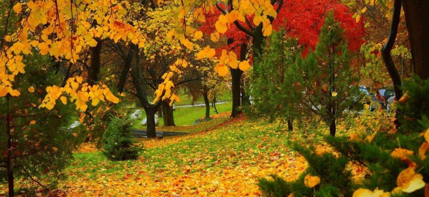 Два дні майже літнього тепла: у трьох регіонах України різко підвищиться температура Два дні майже літнього тепла: у трьох регіонах України різко підвищиться температура