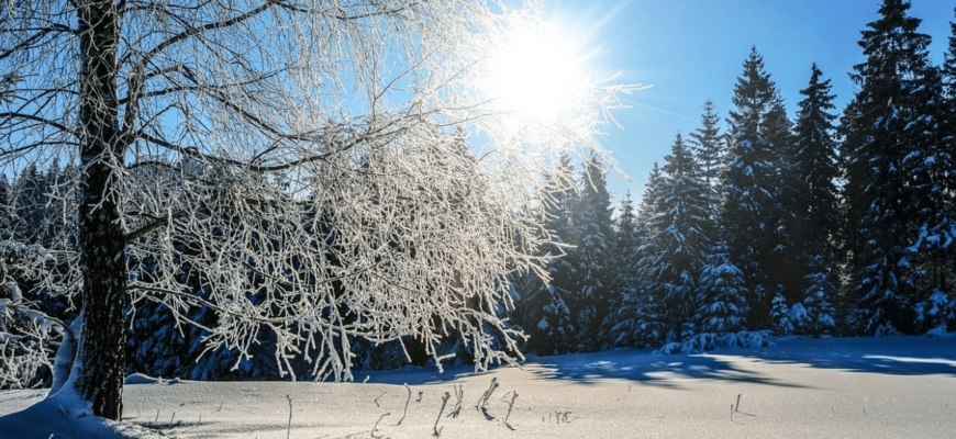 Синоптики потішили прогнозом погоди на Різдво та Новий рік Синоптики потішили прогнозом погоди на Різдво та Новий рік