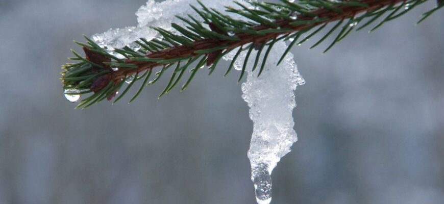 Холод надовго не затримається – синоптик назвав дату відлиги в Україні Холод надовго не затримається – синоптик назвав дату відлиги в Україні