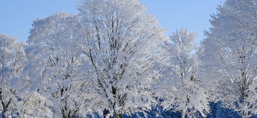 Міцний мороз зміниться різким потеплінням – якою буде погода в Україні у вихідні Міцний мороз зміниться різким потеплінням – якою буде погода в Україні у вихідні