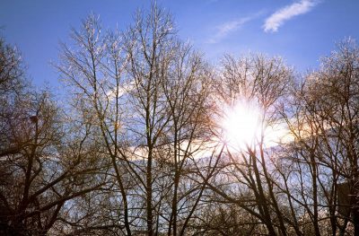 Погода в Україні 2 січня: буде ще теплішим, але це ненадовго Погода в Україні 2 січня: буде ще теплішим, але це ненадовго