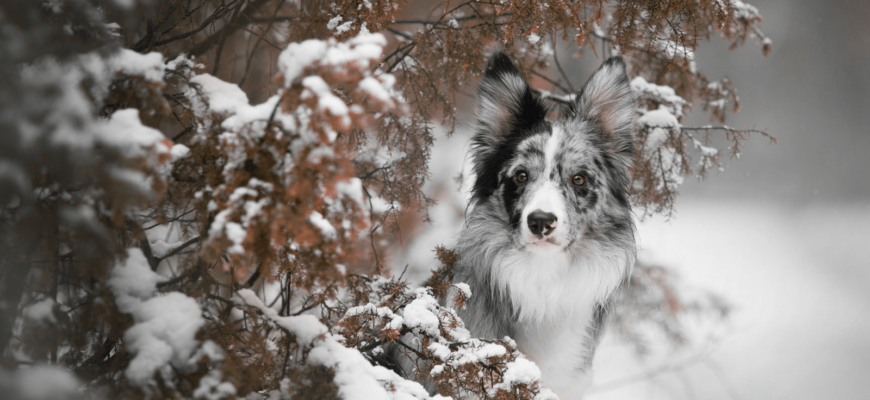 Коли чекати потепління в Україні: прогнози від синоптикині Коли чекати потепління в Україні: прогнози від синоптикині