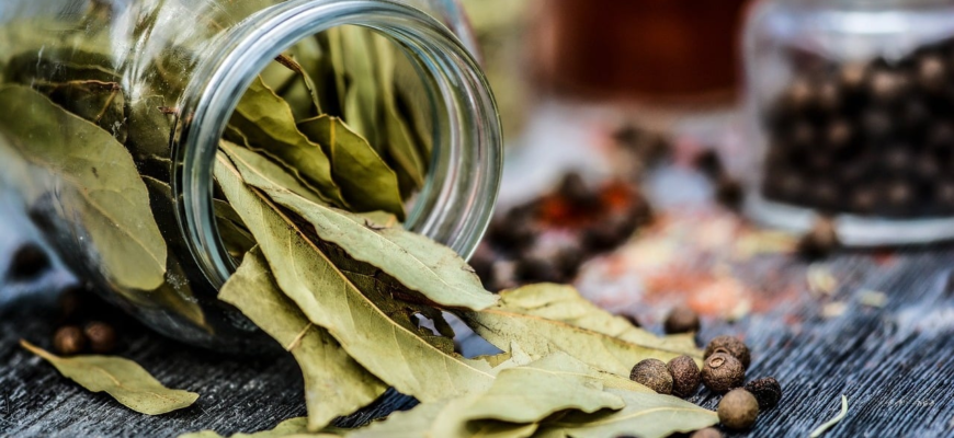 Важлива порада: чому варто покласти лавровий лист у кишеню Важлива порада: чому варто покласти лавровий лист у кишеню