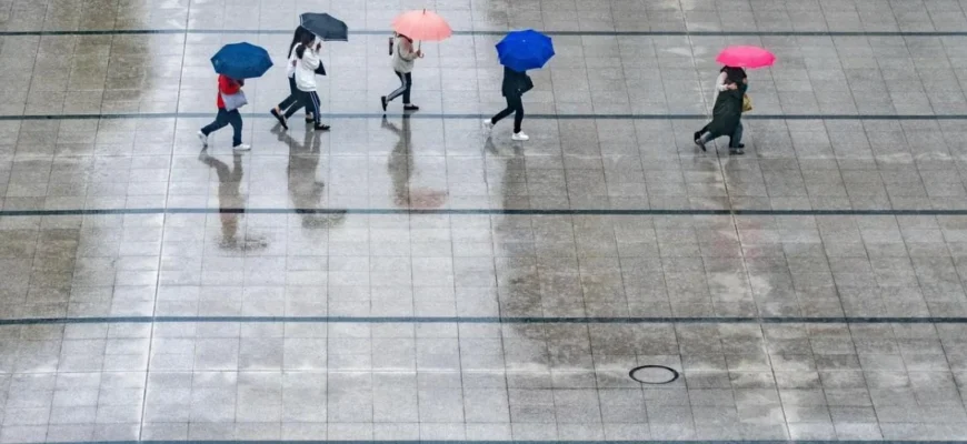 В Україну завітає циклон: названо регіони, які завтра заливатиме дощем В Україну завітає циклон: названо регіони, які завтра заливатиме дощем