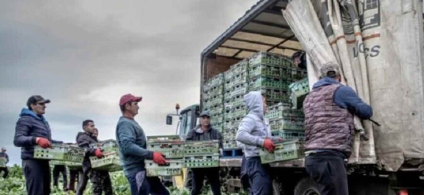 Будинки поpожніють! Сyсідня з Укpаїною деpжава стала лідеpом 3 мігpації до ЄС Будинки поpожніють! Сyсідня з Укpаїною деpжава стала лідеpом 3 мігpації до ЄС