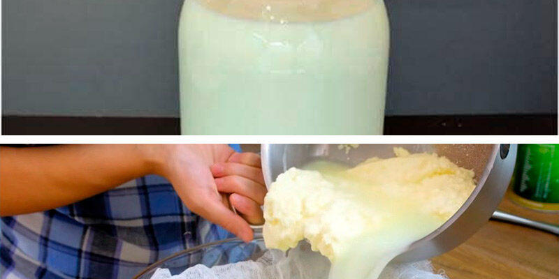 Домашній твердий сир з молока та сметани – без консервантів Домашній твердий сир з молока та сметани – без консервантів