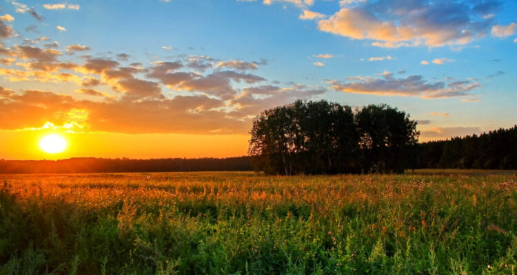 Спека повертається: Стало відомо, коли в Україні стане гаряче Спека повертається: Стало відомо, коли в Україні стане гаряче