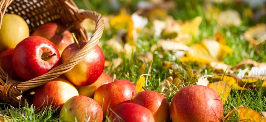 Спека триватиме недовго: Відомо, коли в країні похолодає Спека триватиме недовго: Відомо, коли в країні похолодає