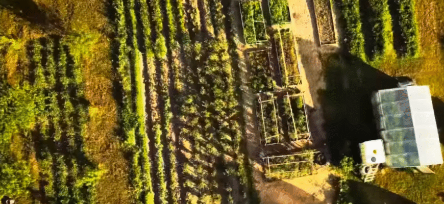 Усім у кого є пай, город чи дача: українців попередили – платити тепер доведеться дорого Усім у кого є пай, город чи дача: українців попередили – платити тепер доведеться дорого