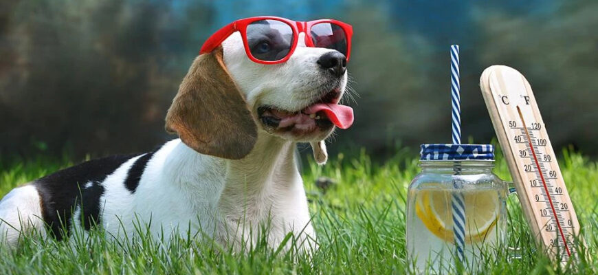 В Україні послабне спека: Названо дату В Україні послабне спека: Названо дату