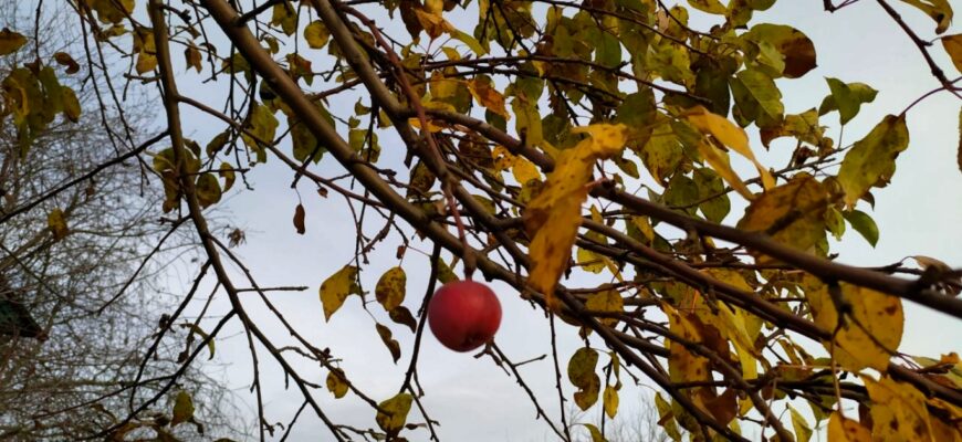 Від +7 і не вище за +24: осінь жорстко взялася в Україну – прогноз погоди на понеділок Від +7 і не вище за +24: осінь жорстко взялася в Україну – прогноз погоди на понеділок