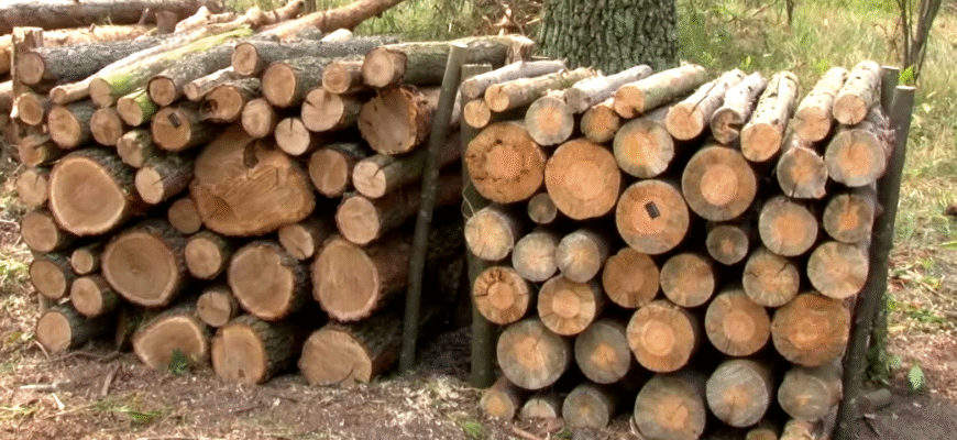 Як тепер грітися: українцям запровадили заборону на дрова – подробиці Як тепер грітися: українцям запровадили заборону на дрова – подробиці