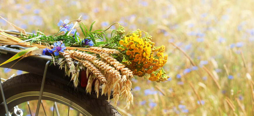 Якою буде осінь 2025: Кліматолог здивував прогнозом Якою буде осінь 2025: Кліматолог здивував прогнозом