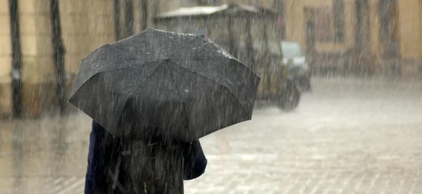 У двох областях литимуть грозові дощі: синоптики попереджають про негоду У двох областях литимуть грозові дощі: синоптики попереджають про негоду