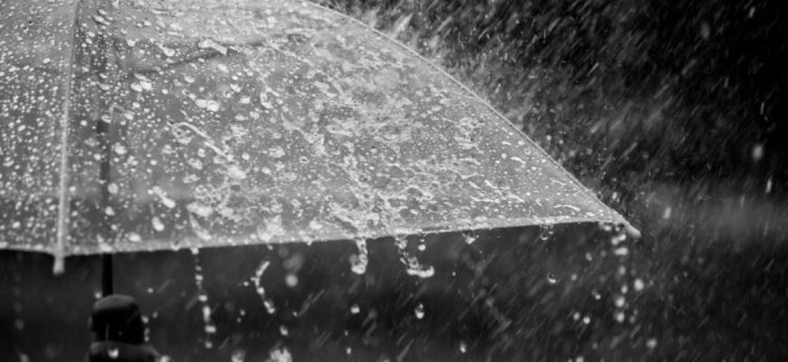 Осінь приходить зі зливами: синоптик розповіла, чого чекати від погоди найближчими днями Осінь приходить зі зливами: синоптик розповіла, чого чекати від погоди найближчими днями