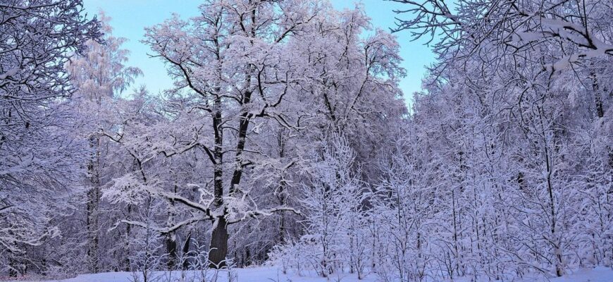 Коли Україну накриють перші морози: синоптик здивував прогнозом Коли Україну накриють перші морози: синоптик здивував прогнозом
