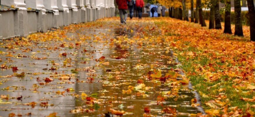 Насувається різка зміна погоди: буревій, дощі та перші заморозки Насувається різка зміна погоди: буревій, дощі та перші заморозки