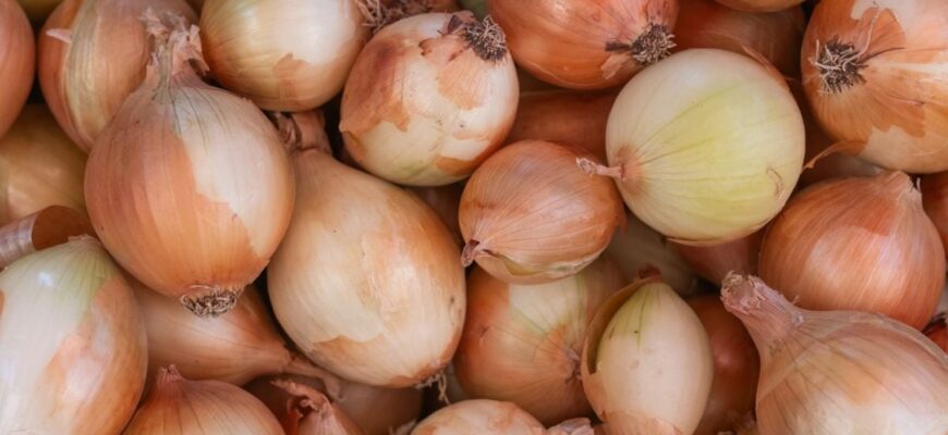 Цибуля не буде гнити аж до весни: як правильно зберігати овоч Цибуля не буде гнити аж до весни: як правильно зберігати овоч