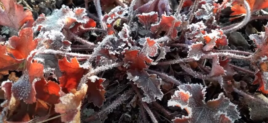 Холодина, заморозки, а потім дощі: синоптик Діденко дала прогноз погоди на п’ятницю та вихідні Холодина, заморозки, а потім дощі: синоптик Діденко дала прогноз погоди на п’ятницю та вихідні