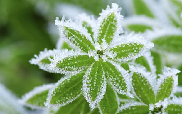 Готуйте светри! В Україну йде різке похолодання, можливі навіть заморозки – названо дату Готуйте светри! В Україну йде різке похолодання, можливі навіть заморозки – названо дату