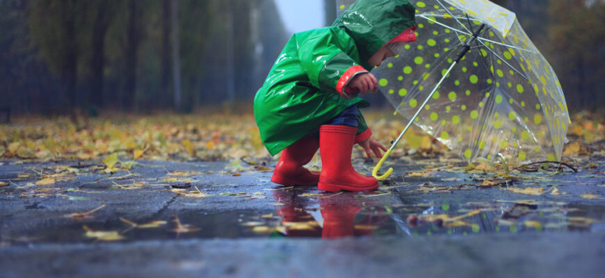 Осінь набирає обертів: вночі на Рівненщині буде до 3 градусів морозу Осінь набирає обертів: вночі на Рівненщині буде до 3 градусів морозу