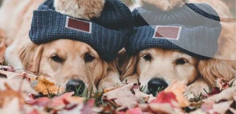 Вибирайте буряки: На Рівненщині прогнозують до 3 градусів морозу (ФОТО) Вибирайте буряки: На Рівненщині прогнозують до 3 градусів морозу (ФОТО)