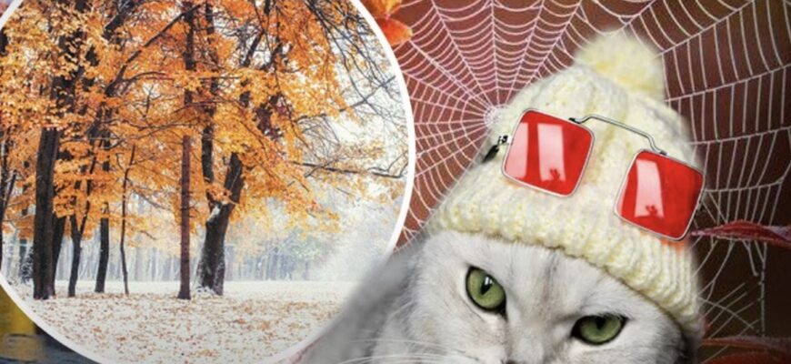 Прогноз погоди на жовтень: скільки разів прийде бабине літо і коли чекати снігу Прогноз погоди на жовтень: скільки разів прийде бабине літо і коли чекати снігу