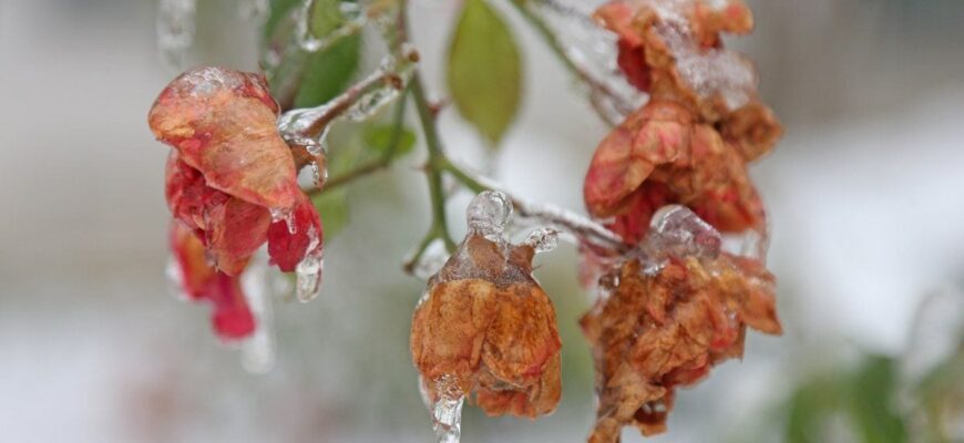 Температура опуститься до -1: деякі області України окутає справжній холод Температура опуститься до -1: деякі області України окутає справжній холод
