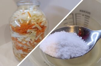 Підсіла на квашену капусту з цим рецептом: 20 гривень за кіло, а ресторанний смак. Дуже смачна капустка Підсіла на квашену капусту з цим рецептом: 20 гривень за кіло, а ресторанний смак. Дуже смачна капустка