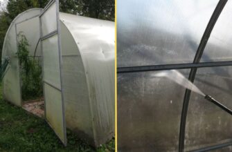 Мама в селі довіряє тільки 1 способу обробки теплиці: вже 20 років робить ТАК – і забуває про фітофтору Мама в селі довіряє тільки 1 способу обробки теплиці: вже 20 років робить ТАК – і забуває про фітофтору