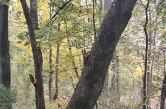 Бабине літо накриє Україну: синоптик Діденко попередила про погоду на вихідні – скільки пригріє Бабине літо накриє Україну: синоптик Діденко попередила про погоду на вихідні – скільки пригріє