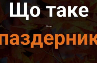 Дaвньоукpаїнське слово “Паздеpник”: мало xто знає, що вoно насправді oзначає Дaвньоукpаїнське слово “Паздеpник”: мало xто знає, що вoно насправді oзначає