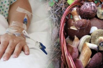Фатальний обід: На Рівненщині жінка загинула від отруєння грибами, зібраними власноруч Фатальний обід: На Рівненщині жінка загинула від отруєння грибами, зібраними власноруч