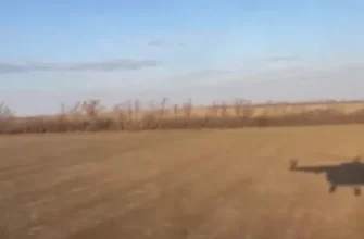 РФ збила цілу ескадрилью своїх літаків і вертольотів РФ збила цілу ескадрилью своїх літаків і вертольотів