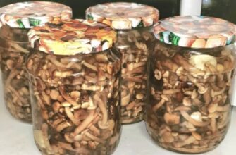 Мій фірмовий рецепт маринованих опеньків . Вже багато років мариную їх тільки так! Хто пробує, відразу ж бере рецепт – ну дуже вже вони смачні Мій фірмовий рецепт маринованих опеньків . Вже багато років мариную їх тільки так! Хто пробує, відразу ж бере рецепт – ну дуже вже вони смачні