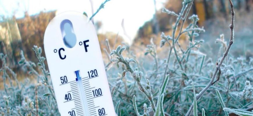 Три головні ознаки, які вказують на те, що цієї ночі будуть заморозки Три головні ознаки, які вказують на те, що цієї ночі будуть заморозки