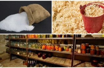 Просто кидаю мішечок під стінку – і волога зникає: сухий льох = урожай без гнилі і плісняви на 90 днів зими Просто кидаю мішечок під стінку – і волога зникає: сухий льох = урожай без гнилі і плісняви на 90 днів зими