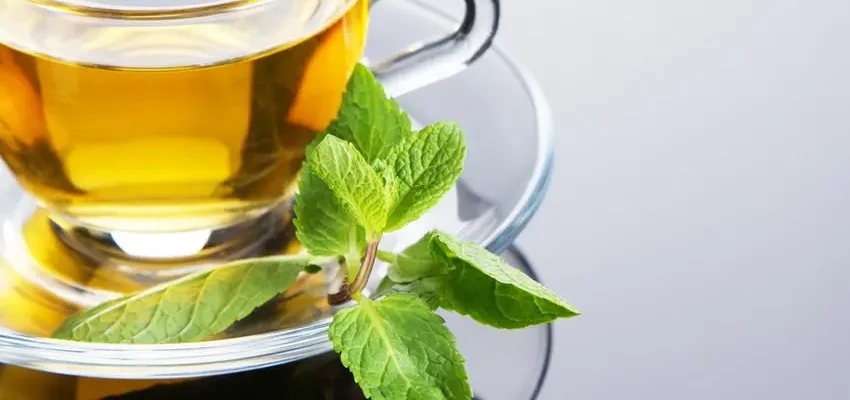 Це варто знати! Як зелений чай впливає на мозок Це варто знати! Як зелений чай впливає на мозок