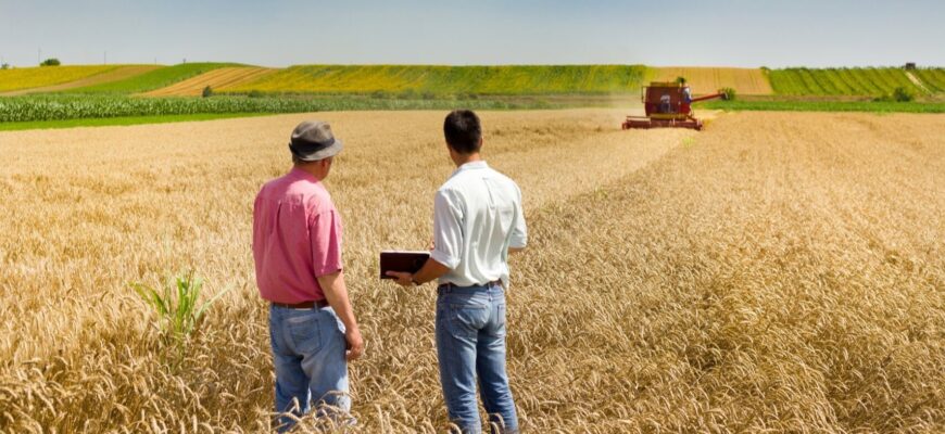 Українці втрачають гектари: як діють шахраї на ринку землі Українці втрачають гектари: як діють шахраї на ринку землі