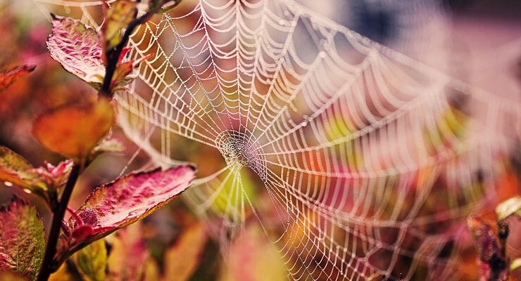 В Україну йде «бабине літо»: Відома дата потепління В Україну йде «бабине літо»: Відома дата потепління